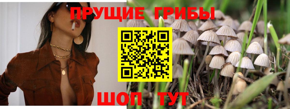 Галлюциногенные грибы ЛСД  Вход с VPN  Новосибирск 